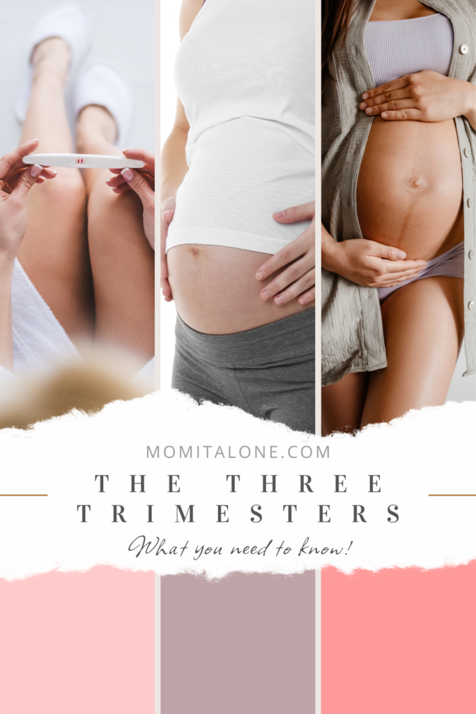 what you need to know about the three trimesters