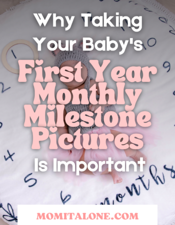 Baby's first year monthly milestone pictures