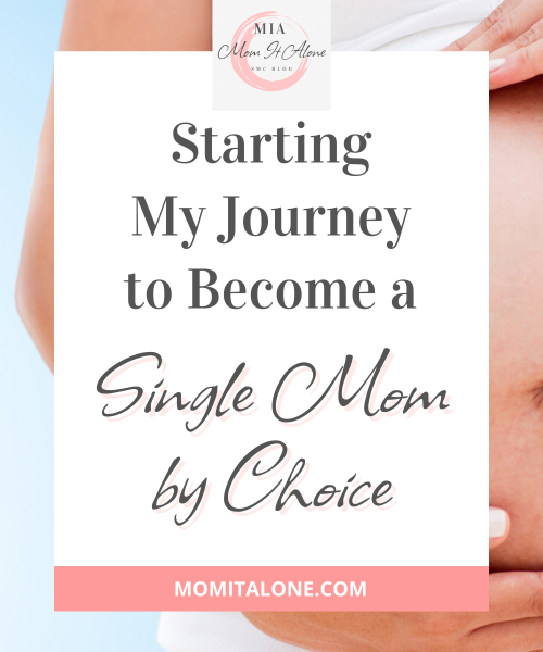 Starting My Journey to Become a Single Mom By Choice Blog Post