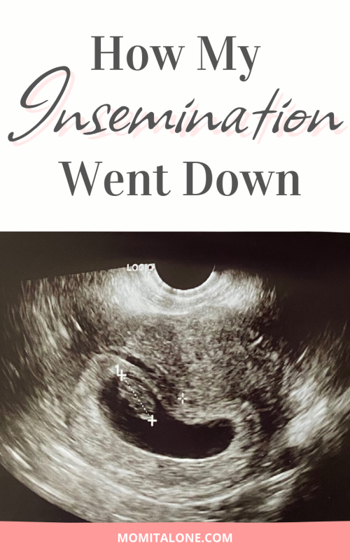 How my insemination went down